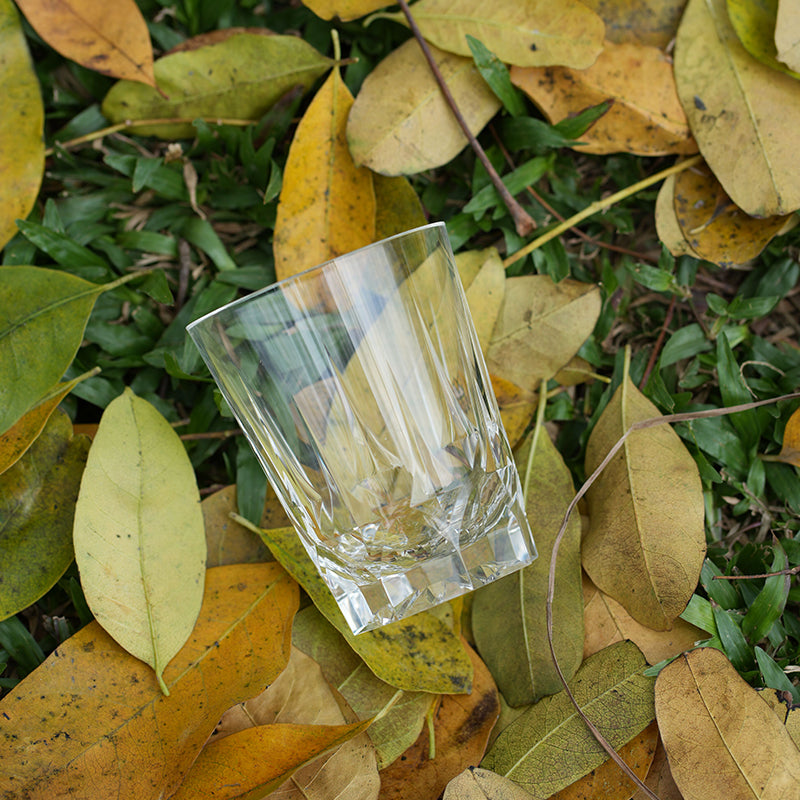 NOVAZ Flexible Crystal Glass Collection - NOVAZ Store
